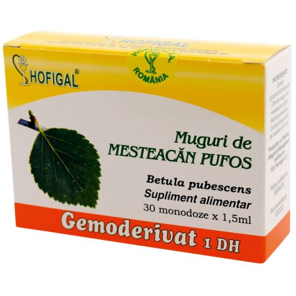 Gemoderivat din muguri de mesteacăn pufos, 30 monodoze × 1,5 ml, Hofigal